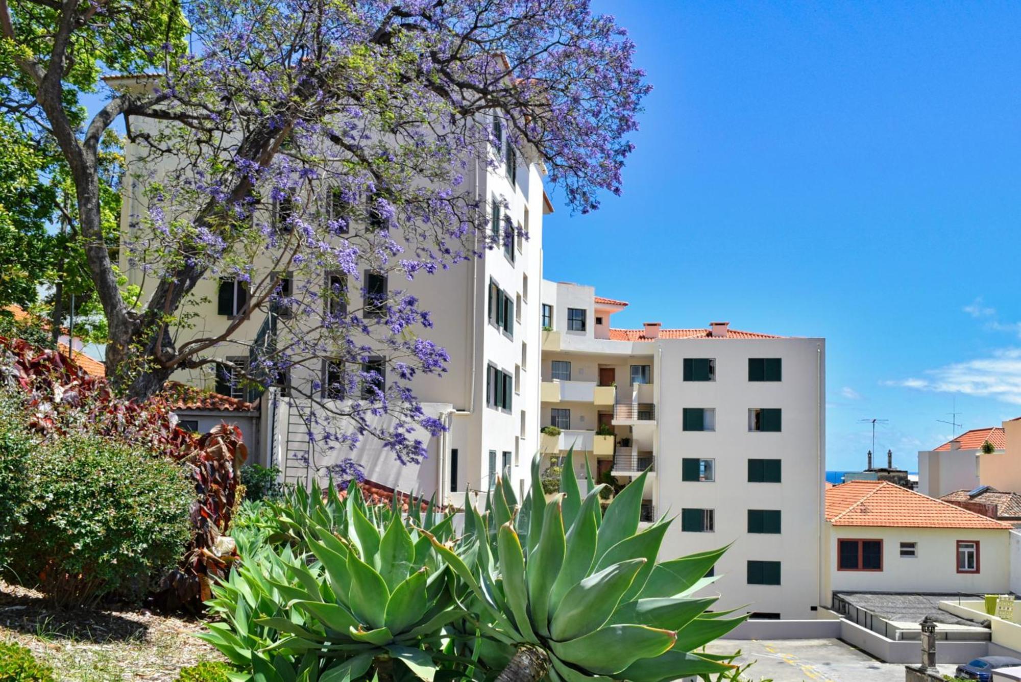Encarnacao Apartment, A Home In Madeira Funchal  Eksteriør bilde