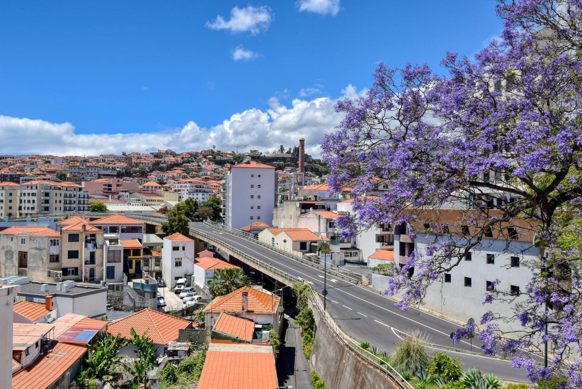 Encarnacao Apartment, A Home In Madeira Funchal  Eksteriør bilde